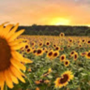 Meet your Posher, Natalia